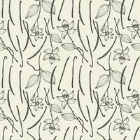 Vanilla plant with sticks flower repeating background. Hand drawn seamless pattern with vanilla branch, leaf. Design for template, label, card, textile, wrapping, banner. Engraved food illustration vector