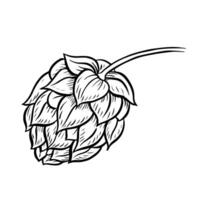 Cone of hop. A black-and-white hand-drawn illustration highlighted on a white background. Design elements for pub or restaurant menus, label and poster, logo and packaging vector