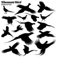 Set of pheasant bird silhouettes vector