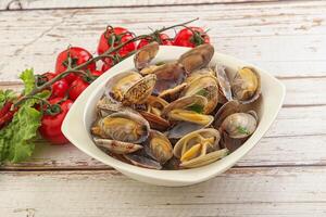 Vongole shellfish mollusc clem with butter photo