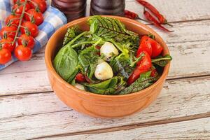 Mix salad with mozzarella and tomato photo