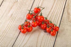 Ripe sweet Cherry tomato branch photo