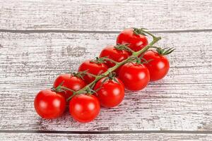 Ripe sweet cherry tomato branch photo