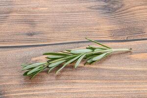 Rosemary branch - organic spicy herb photo