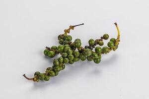 Green pepper corn heap isolated photo