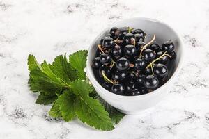 Juicy black currant berries in the bowl photo