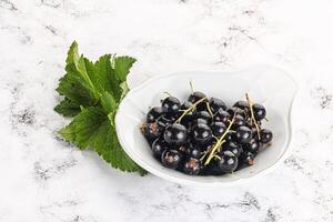 Juicy black currant berries in the bowl photo