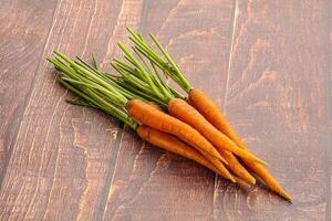 Young raw carrot heap isolated photo