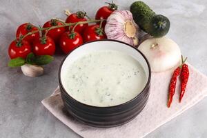 Traditional delicious appetizer greek tzatziki Turkish name cacik photo