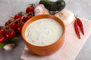 tradicional delicioso aperitivo griego tzatziki turco nombre cacique foto