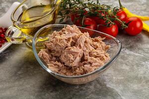 Canned tuna fillet for salad photo