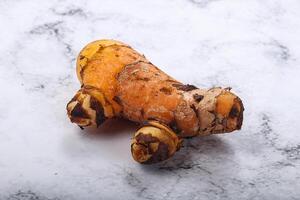 Fresh curcuma root for cooking photo