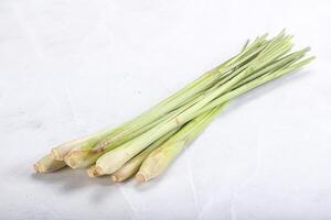 Lemongrass - Asian aroma plant for cooking photo