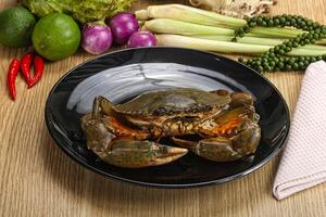 Delicous fresh raw uncooked crab photo