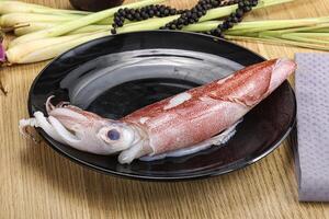 Raw fresh squid for cooking photo