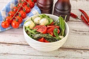 Mix salad with mozzarella and tomato photo