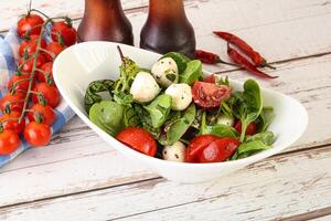 Mix salad with mozzarella and tomato photo