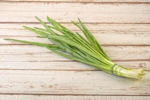 Raw young green onion heap photo