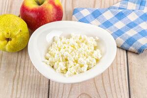 Organic cottage cheese in the bowl photo