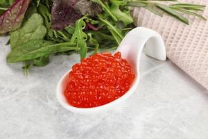 Red caviar in the bowl photo