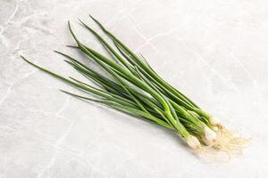 Young aroma fresh green onion photo