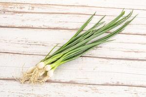 Young aroma fresh green onion photo