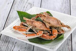 Yummy boiled crab in the plate photo