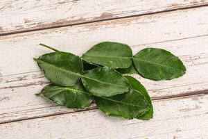 Aroma seasoning kaffir lime leaves photo