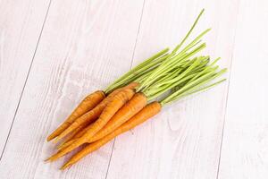 Young raw carrot heap isolated photo