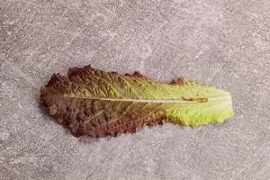 Green lettuce salad leaf isolated photo