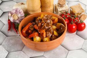 Homemade beef hungarian goulash with potato photo