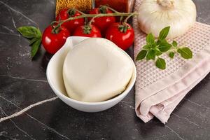 Italian cheese mozzarella buffalo ball photo