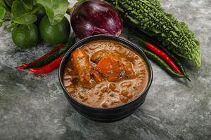 Indian cuisine - chicken curry with spices photo