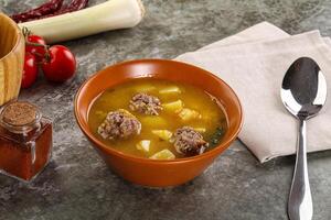 Soup with beef meatball and vegetables photo