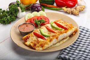 Mexican cuisine Enchiladas with meat photo