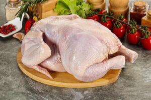 Raw whole chicken for cooking photo