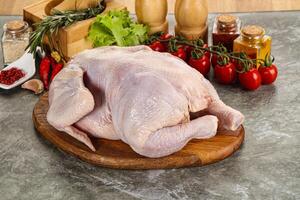 Raw whole chicken for cooking photo