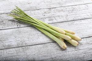 Lemongrass - Asian aroma plant for cooking photo