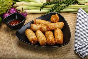 Vietnamese cuisine fried spring roll photo