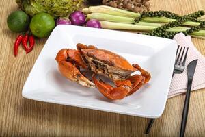 Delicous luxury steamed red crab photo