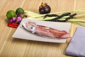 Raw fresh squid for cooking photo