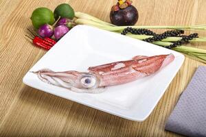 Raw fresh squid for cooking photo