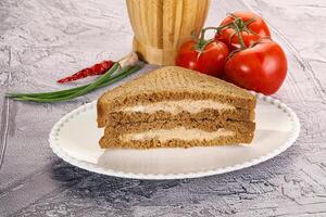 Club sandwich with Tuna fish photo