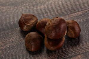 Tasty delicous brown natural Chestnut photo