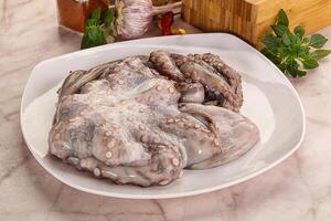 Raw cold octopus for cooking photo