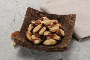 Brazil nut kernel in the bowl photo