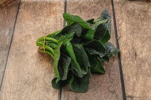 Ripe green spinach leaves heap photo