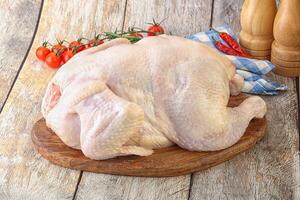Whole raw chicken for cooking photo