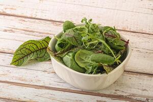 Green mix salad in the bowl photo