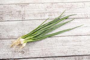 Young aroma fresh green onion photo